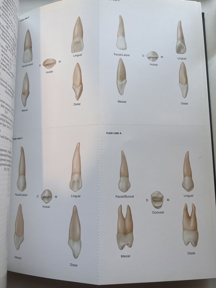Учебник за стоматолози