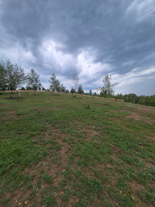 Teren  – Râșnov, Glăjărie – priveliște superbă