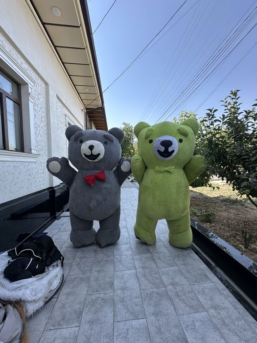 Raddom va tuglgan kun uchun ayiqlar