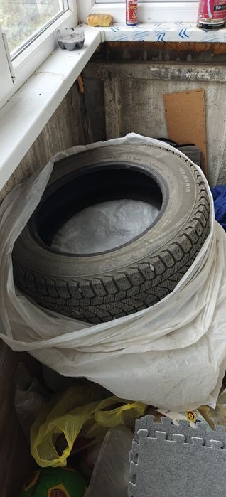 Зимние шины с шипами