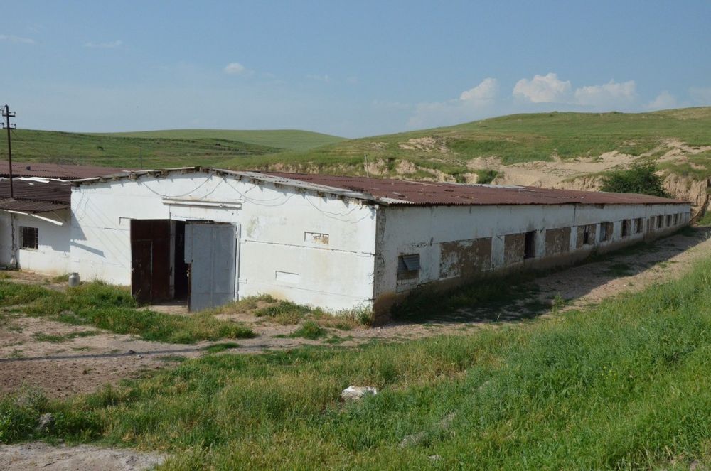 Продаётся ферма в Паркенте