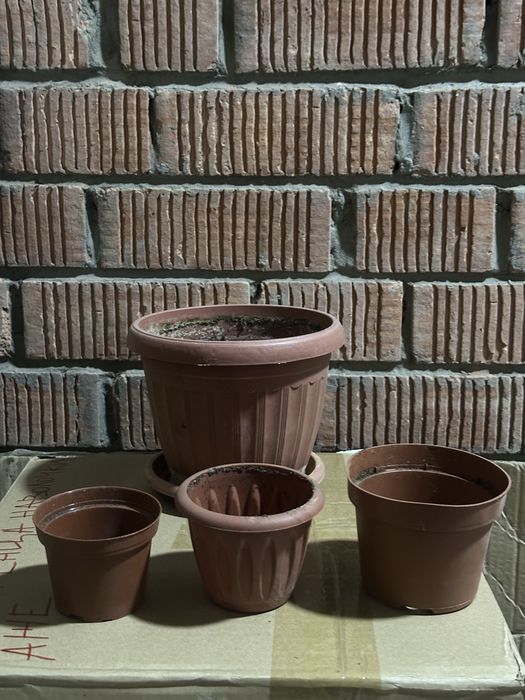 Отдам все горшки за 500