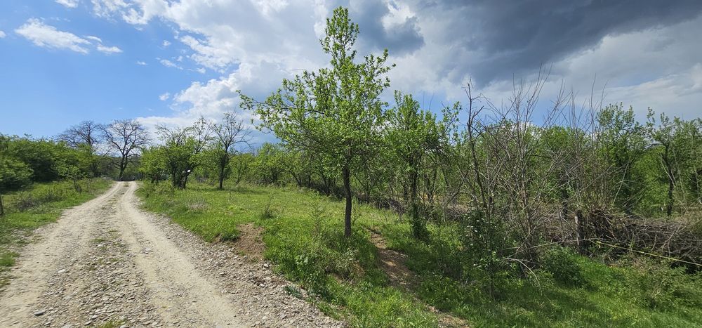 Teren de vanzare Valea Unghiului Prahova