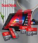 Card Micro SD 256Gb