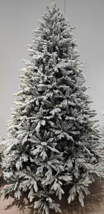 Елка "Нормандская" заснежанная,