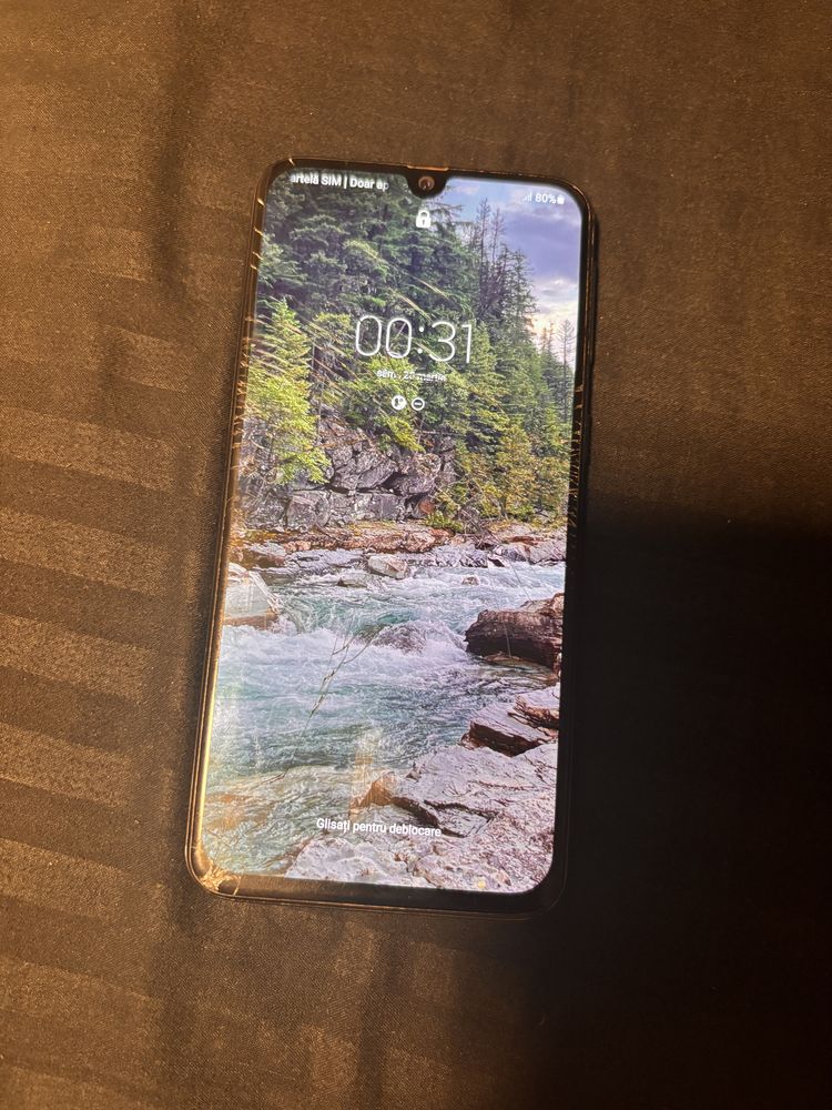 Samsung a40 display defect