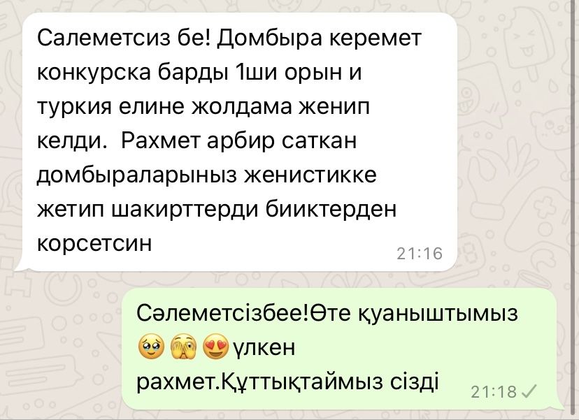 Домбыра Домбра детский чехол