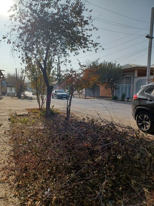 Продаётся домик  в  доль дороги .