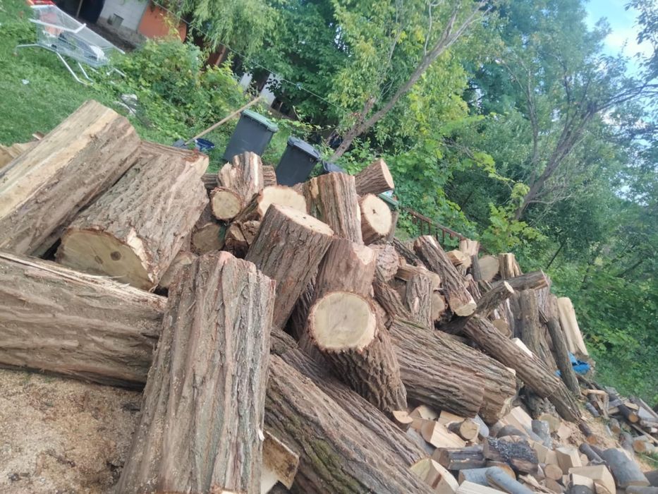 Lemne de foc esență tare