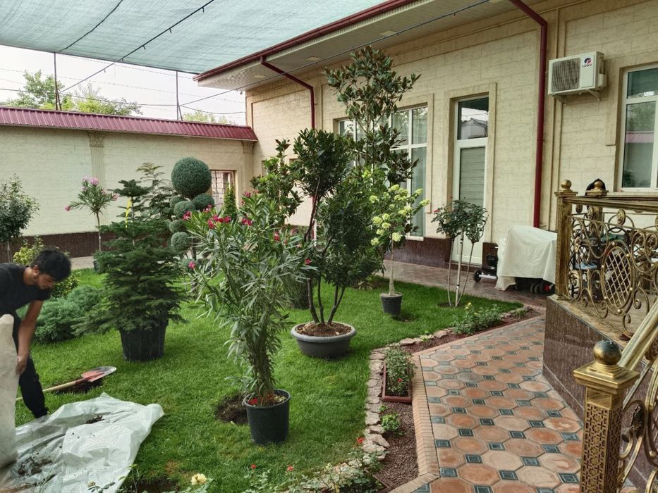 landshaft qilish toshkent | Gazon ekish xizmati
