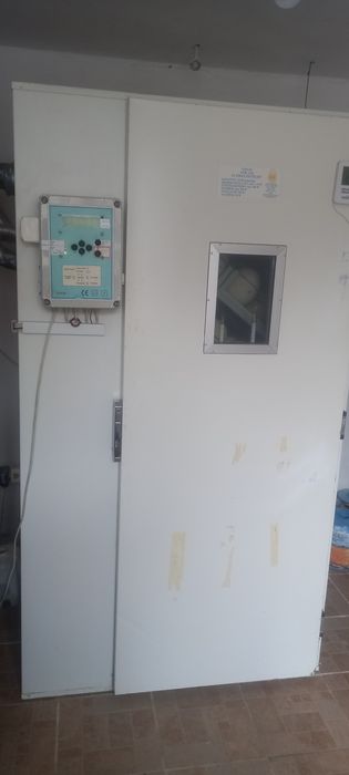 Vând familii struți reproducătoare + incubator 100 oua+ ecluzor