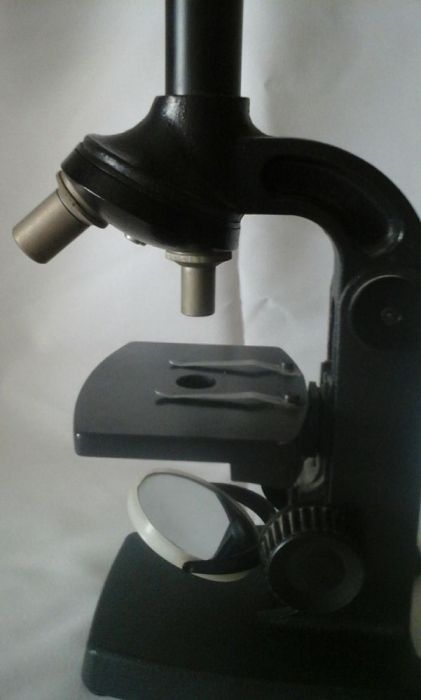 Microscop rusesc