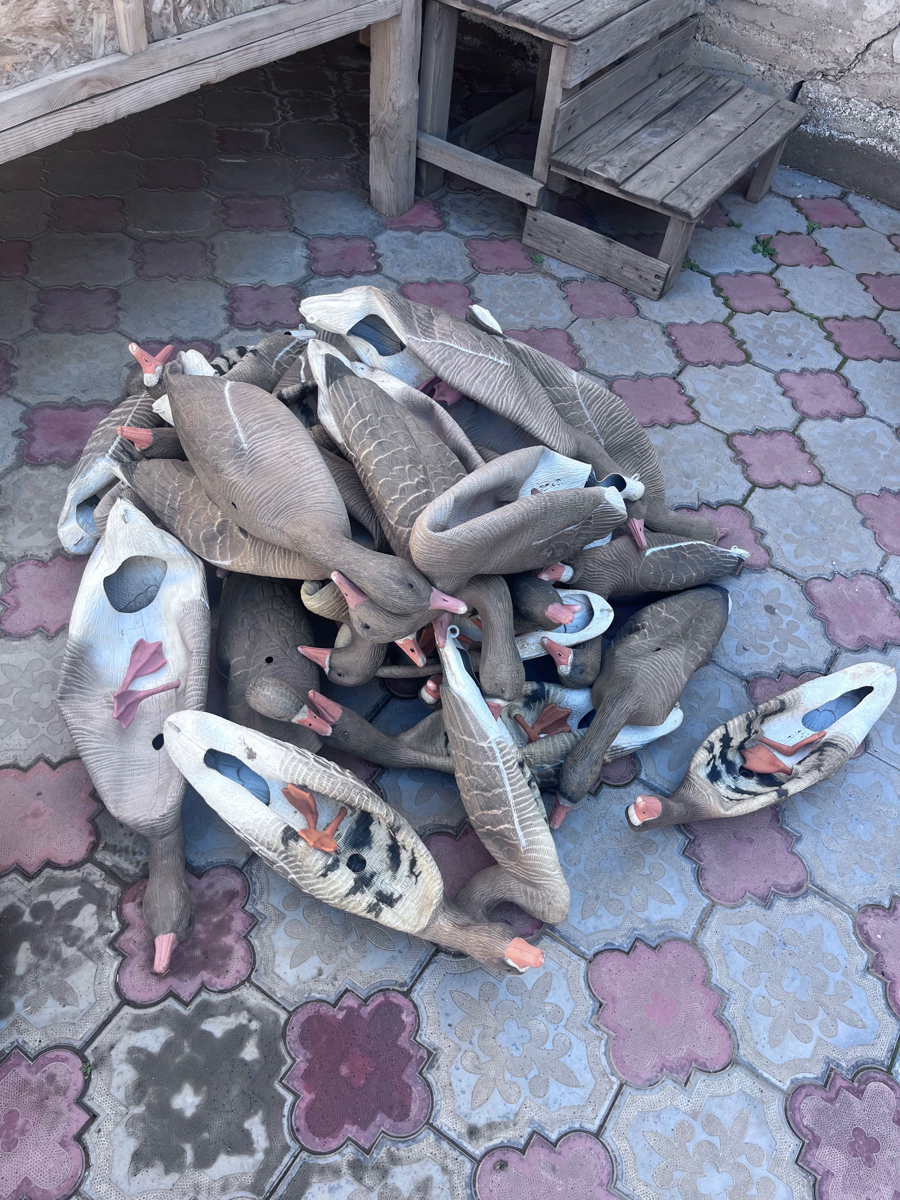 Продам Профиля гусиные