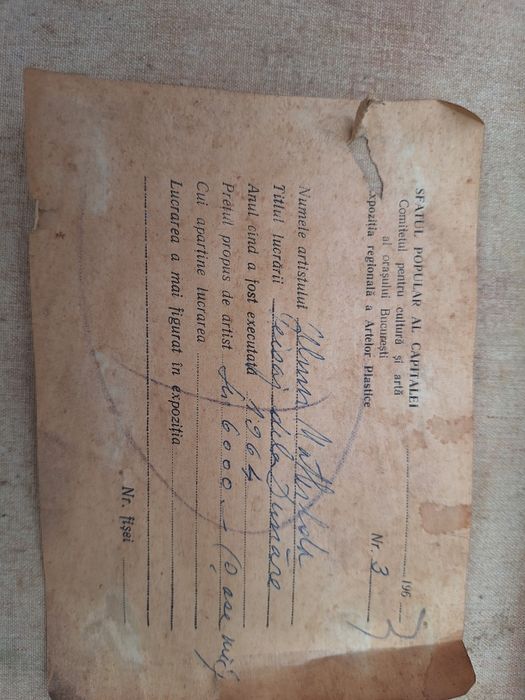 Tablou peisaj pe Dunare Matilda Ulmu