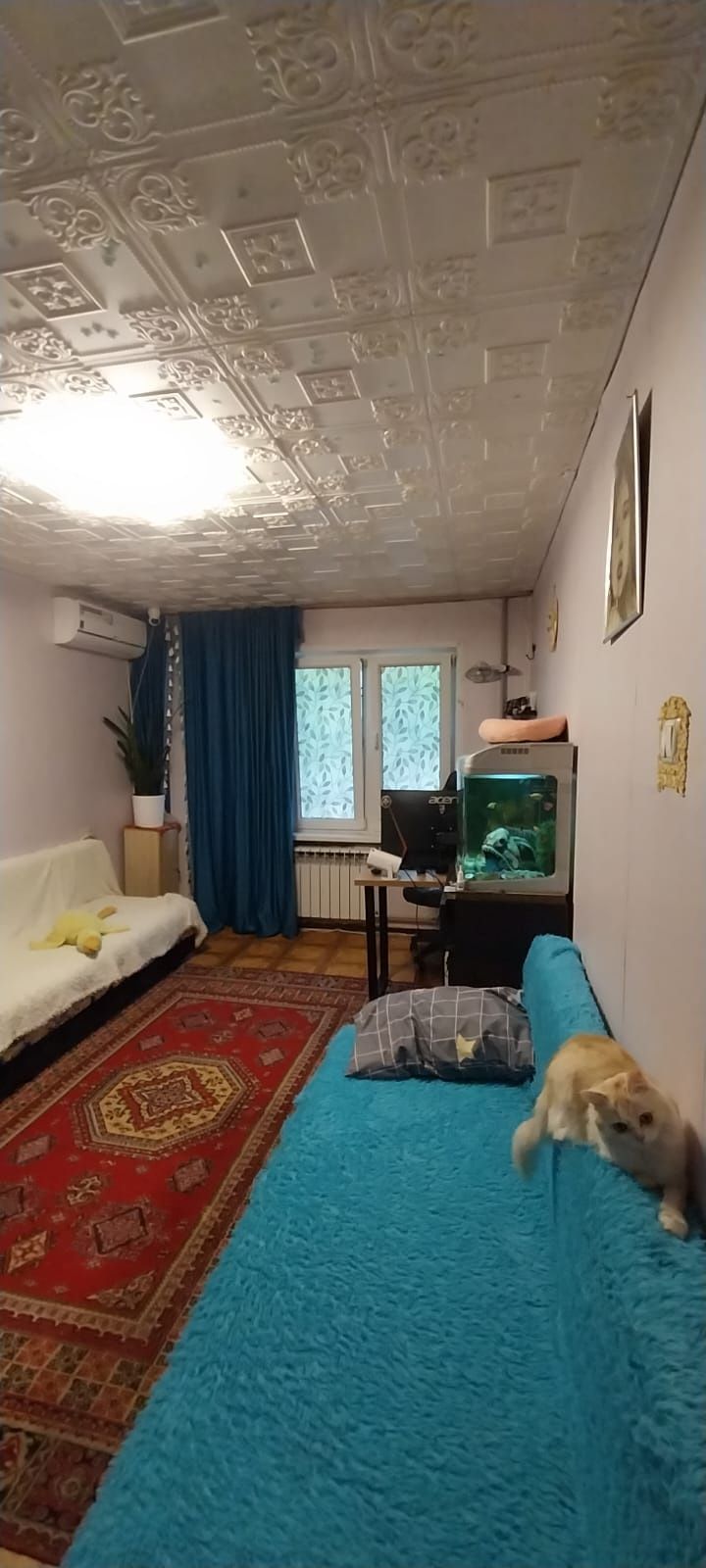 Квартира  1 комнатная