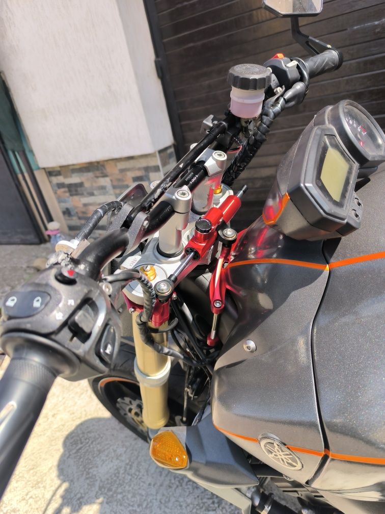 Fz1 naked Europe R1