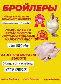 продаётся бройлерный тушка