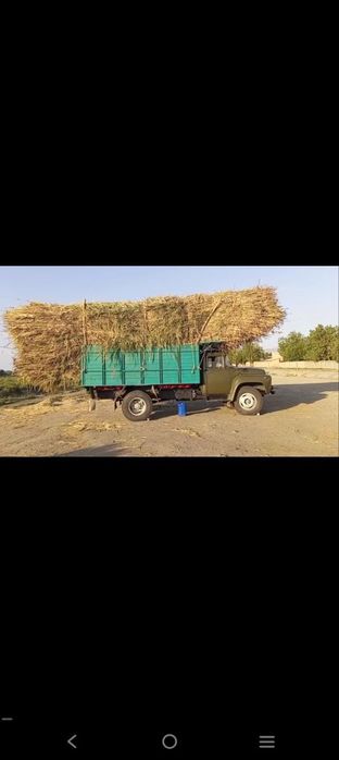 Zil 130 holati yahwi