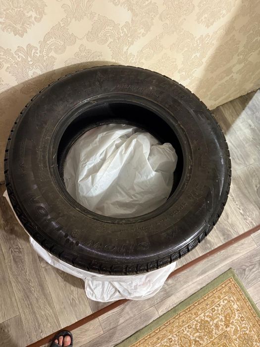 Шины зимние TRIANGLE