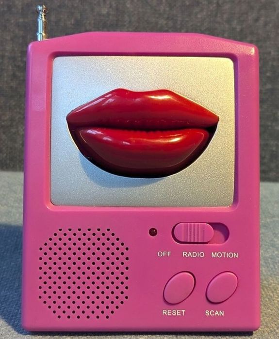 Radio scan WF-2148 L , cu buze mișcătoare, FM-BAND
Radio vorbitor din