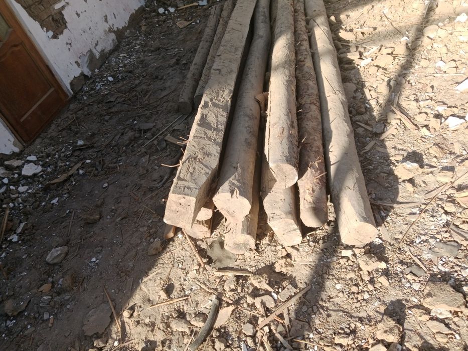 Тастама круглый тастама