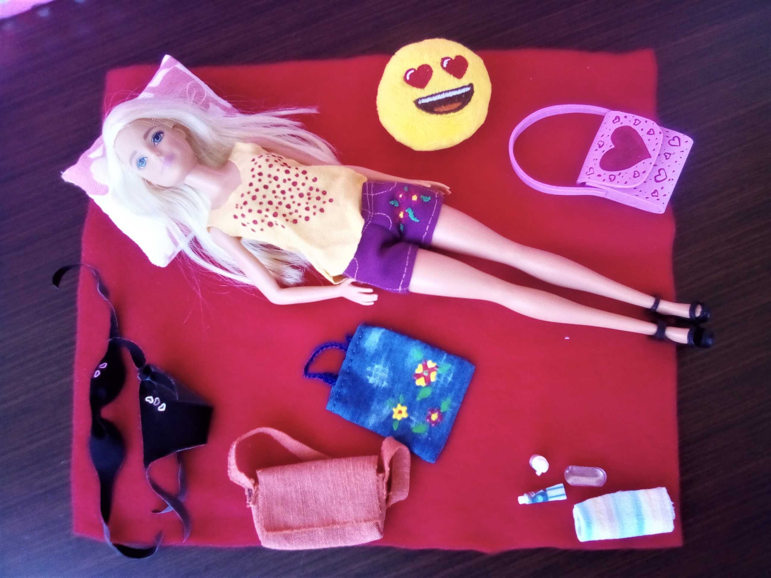 Vand papusa Barbie cu accesorii hand made 30 lei