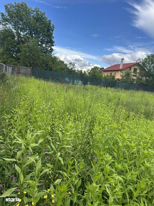 CORNU  - teren intravilan 800 mp - 68 Euro/mp