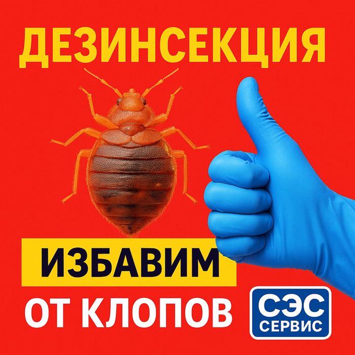 СЭС СЕРВИС — Официальный партнёр вашего бизнеса