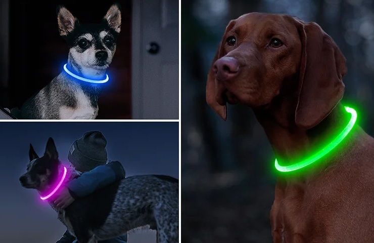 Светещ LED нашийник за големи и малки породи кучета каишка за куче с