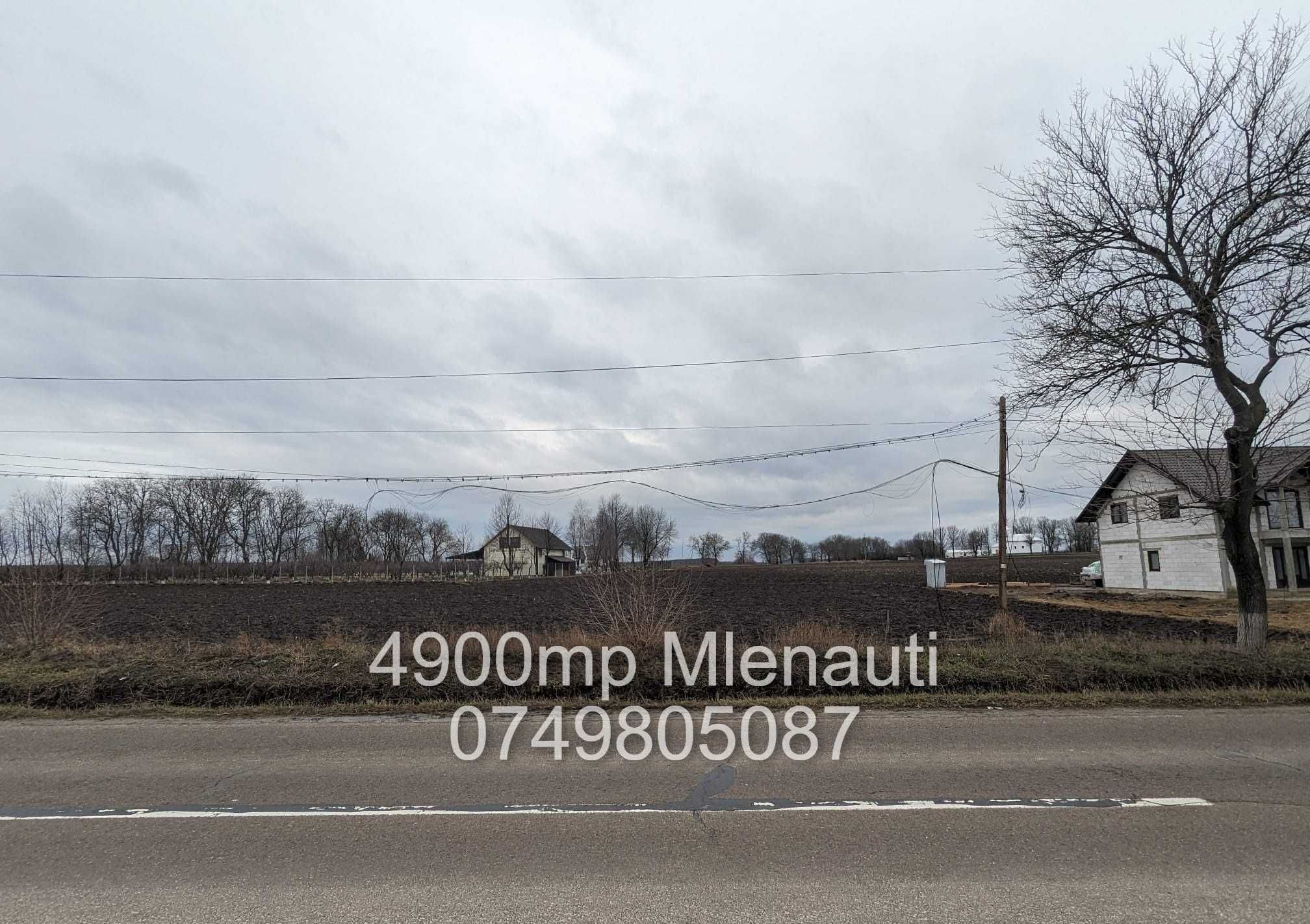 Pământ de Vânzare - 4900 mp Extravilan în Mlenauti