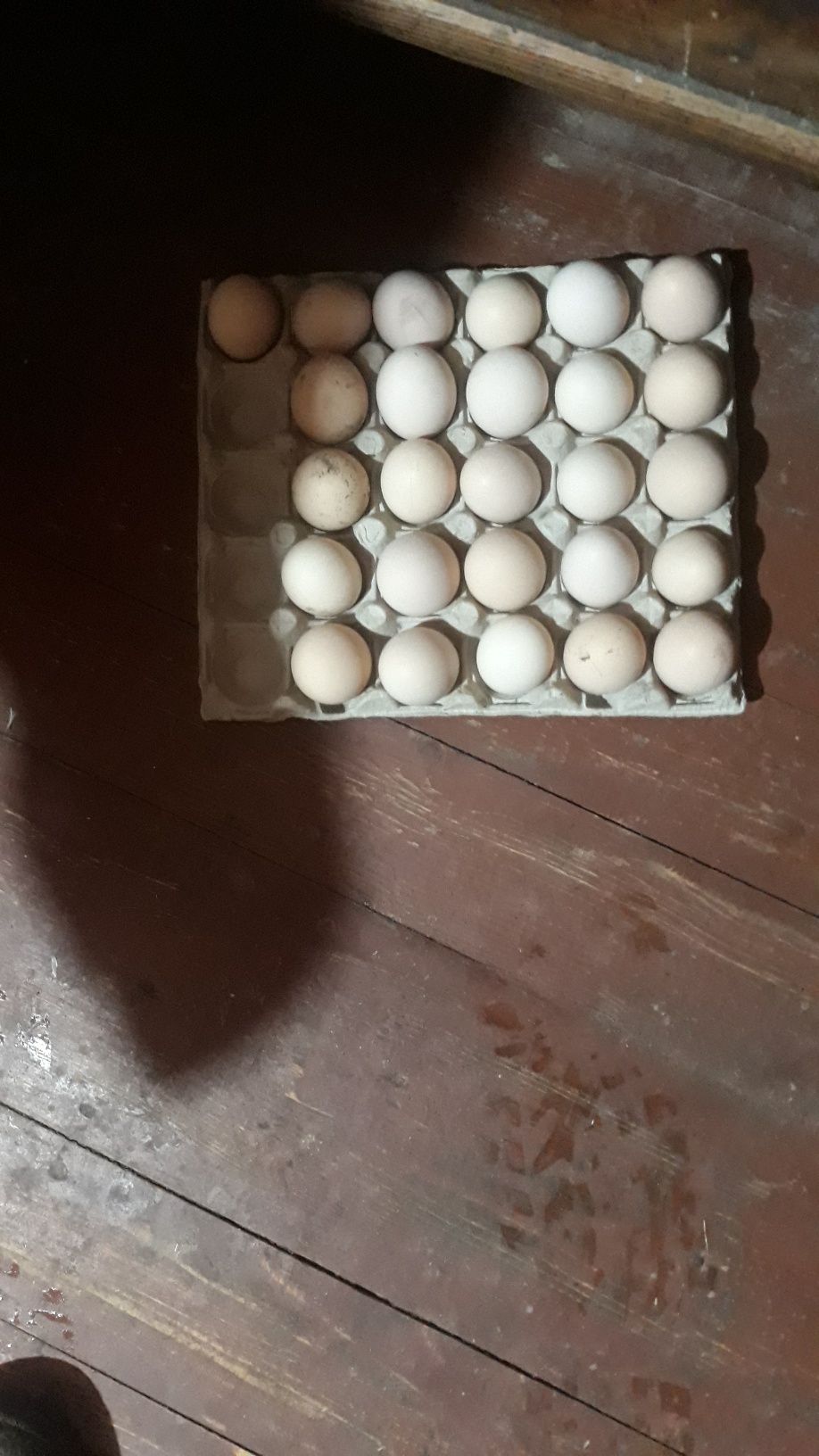 Oua pentru consum proaspete la comanda