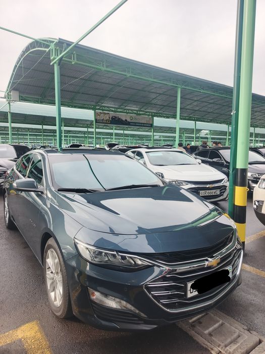 Malibu Prrimer 2022-yil