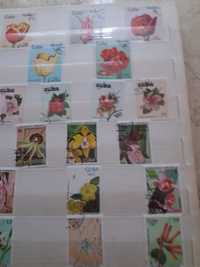 Clasoare cu timbre valoroase