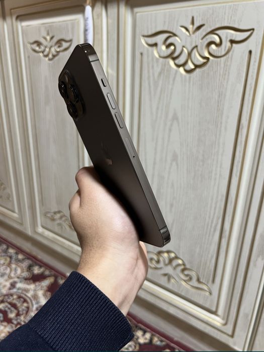 iPhone 13 Pro max black