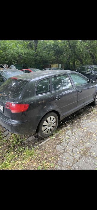 Audi a3 1.9 tdi dsg на части  sportback