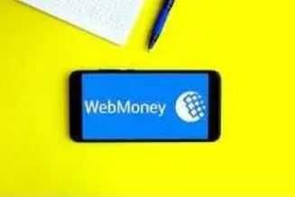 Профессионал маслахатлар Webmoney, консультация по использованию