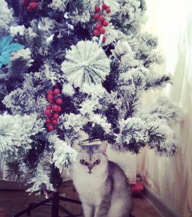 Продаётся ёлка искусственная