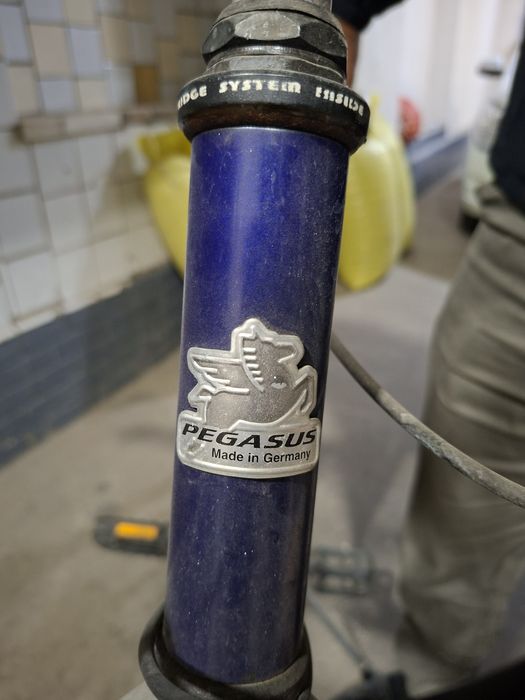 Velosaped germaniya PEGASUS