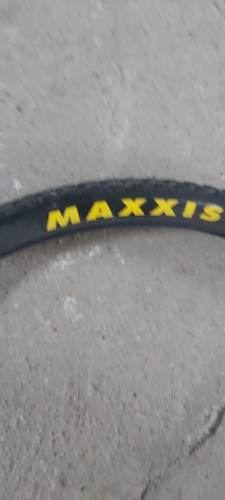 Cauciuc Maxxis beaver