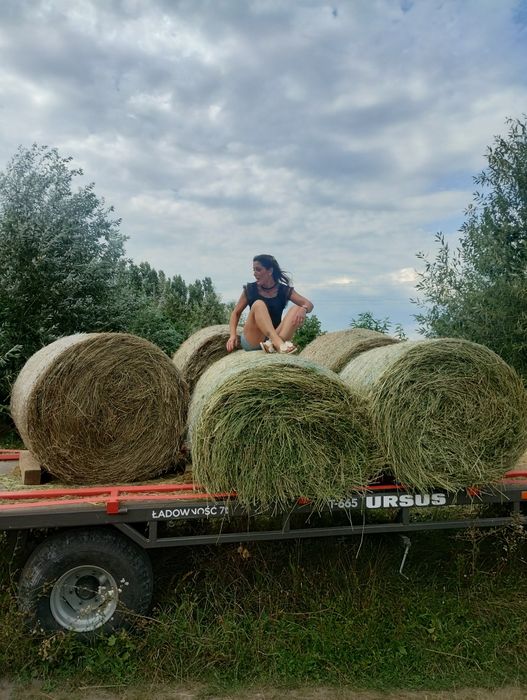 Vând baloți de lucernă sau dau la schimb