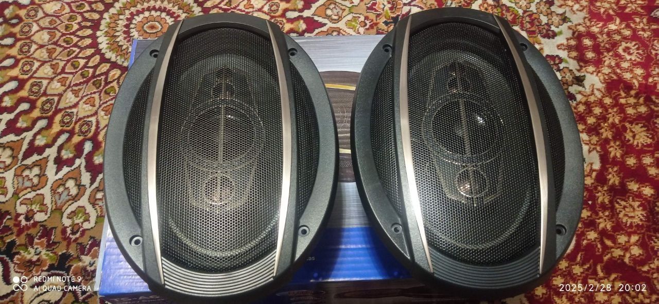 Pioner 800 w. Chiqarishi balan. Tiniq.