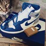Jordan 1 retro high OG True Blue