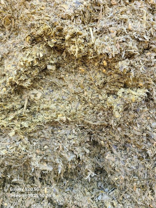 Donlik silos sotamz optm