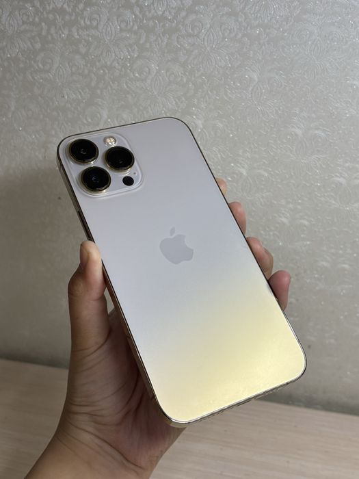 iPhone 13 PRO MAX