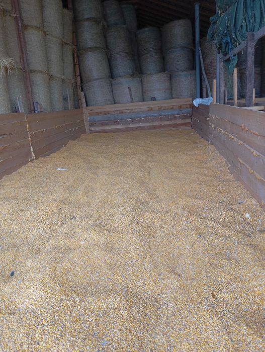 Vanzării Furaj Animale și Cereale