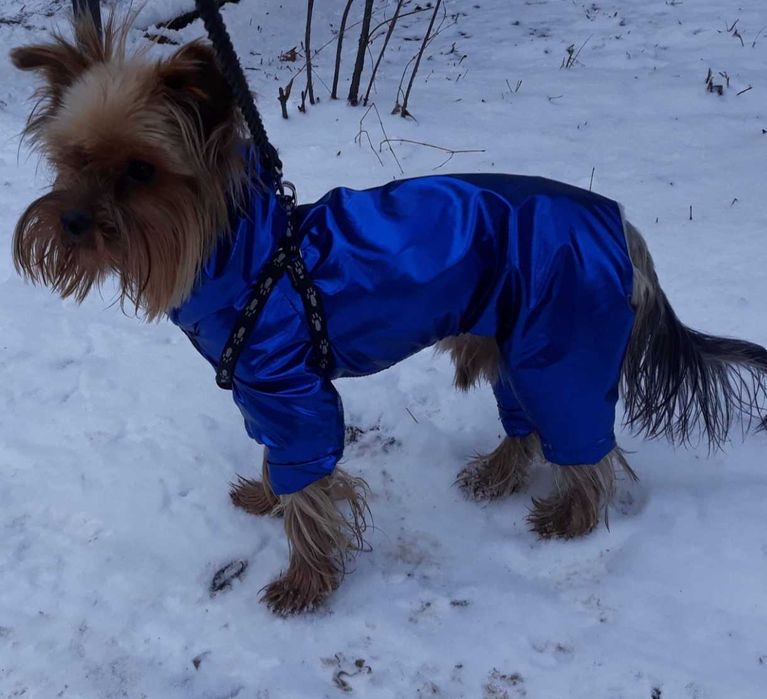 Ексклюзивна дрехи за малки кучета