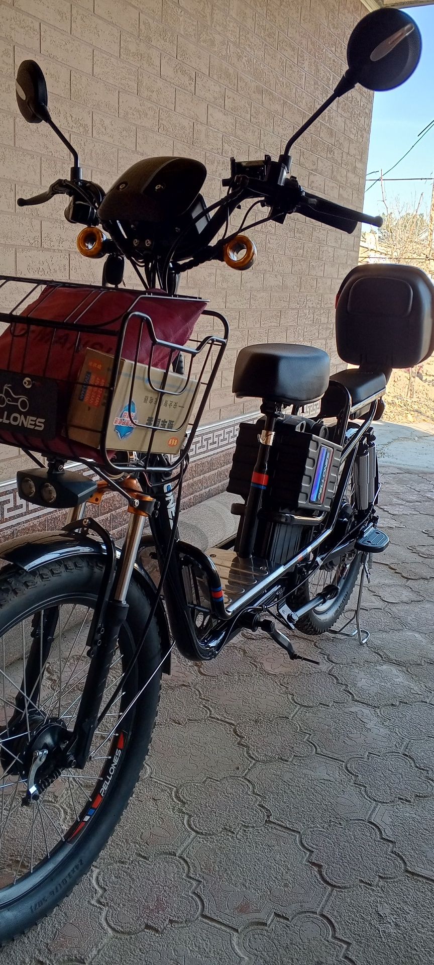 Elektro Velosiped
