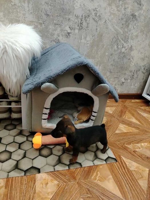 Меко и топло легло къщичка за куче, котка, домашни любимци, котки 4330