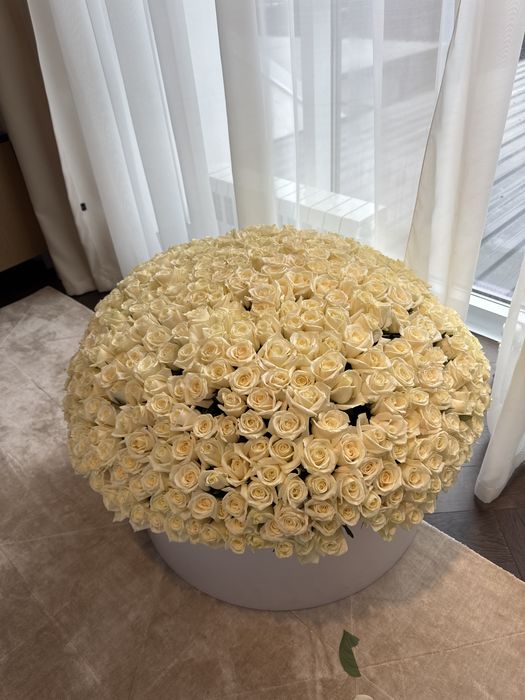 Цветы 501 роз ……