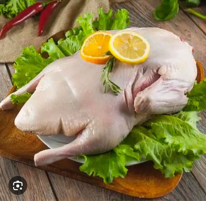 Продам домашних уток и гусей